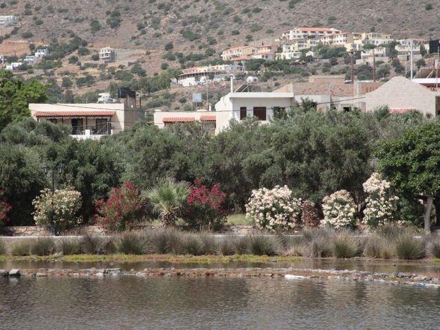 Elounda Olive Garden Apts & Studios Exterior foto